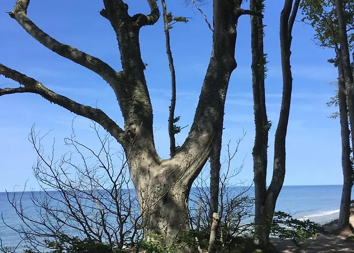 شقة Szept Morza 2